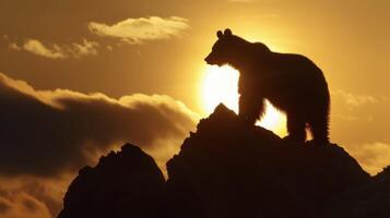 The silhouette of a lone bear standing atop a rocky mountain peak with the sun setting behind it in a breathtaking display photo