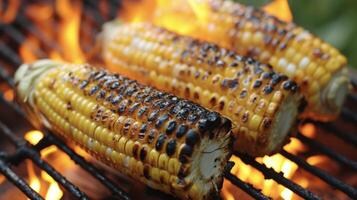 olvidar aburrido hervido maíz estos a la parrilla mazorca bellezas son muy lleno con negrita sabores desde el parrilla haciendo ellos el estrella de ninguna comida al aire libre foto