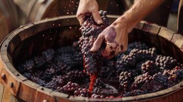 A closeup of a pair of hands crushing a of plump ripe gs into a large wooden barrel. The rich red juice streams through the fingers a labor of love and precision in the ar photo
