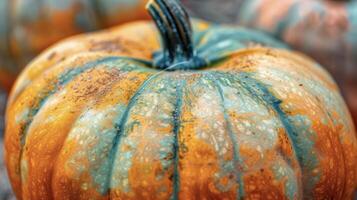 A closeup of a vibrant pumpkin with shades of orange and green blending together in a picturesque manner. The skin is smooth and glossy and the stem stands tall and proud photo