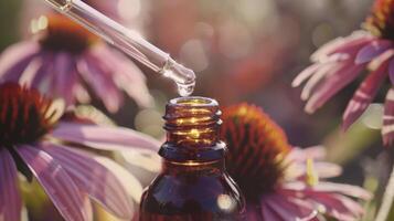 A dropper releasing liquid from a dark bottle labeled Echinacea. This popular herb is often used to boost the immune system and help fight off cold and flu symptoms photo