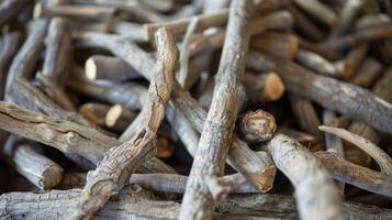 A pile of dried tree bark and twisted branches are ready to be boiled and turned into a healing tonic passed down through generations in traditional medicine photo