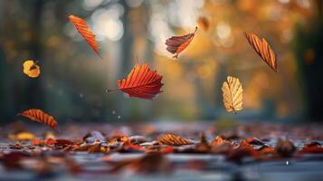 A of autumn leaves their vibrant colors rustling in a duet as they fall to the ground photo