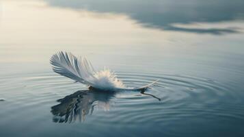 A feather floating on a gentle breeze representing the lightness and release of negative energy that comes with Reiki healing photo