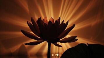 A silhouette of a lotus flower its petals open and releasing beams of light signifying the awakening and healing of the chakras during a Reiki session photo