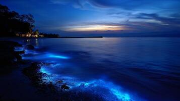 As dawn approaches the bioluminescent waves slowly start to fade leaving a magical memory of the previous night photo