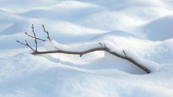 A unique snow roller with a protruding branch giving it the appearance of a miniature tree photo
