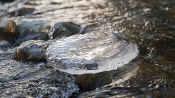 The delicate balance between stillness and movement captured in a single ice disk floating in a river photo