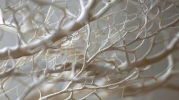 Branches of white lines weaving their way across the skin reminding us that change is constant and beautiful. photo