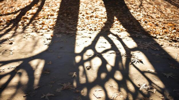 Two intertwined tree branches creating intricate shadow patterns on the ground, showing how love can be found in the most unexpected places and circumstances. photo