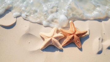 As the tide recedes, a series of heartshaped starfish are revealed in the sand, almost as if they were p there intentionally for lovers to discover. photo