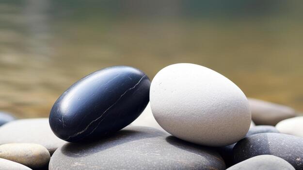 Two smooth river rocks, one black and one white, lie side by side, symbolizing the yin and yang of a balanced and complementary connection. photo
