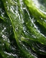 A macro shot showcases the minute details of a single seaweed snack, highlighting its intricate texture, with subtle s running through its delicate surface, adding a touch of elegance to photo