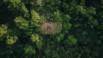 Overgrown vines and weeds cover old traffic signs their once clear messages now blurred and obscured by time. . AI generation photo