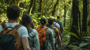 On the outskirts of the forest clearing we see a group of nature lovers walking side by side backs turned towards the camera . photo
