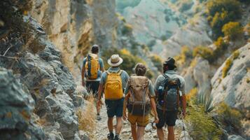 A group of hikers make way through a rugged mountain trail backs to the camera as they pause to take in the breathtaking . photo