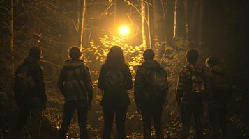A group of friends gathers in the passage backs turned as they soak in the ethereal glow of the forest and its mysterious inhabitants. . photo