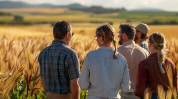 A group of farmers standing in a field examining crops that are thriving despite a lack of rain. The image captures the hope and potential of using gene editing for droughtresistant photo