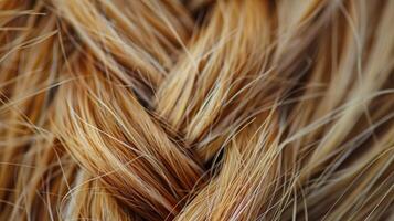 An extreme closeup of a single strand of hair showcasing its unique pattern and texture. photo