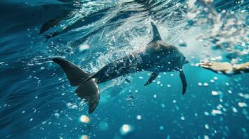 A powerful dolphin kick propelling a swimmer underwater propelling them towards the finish line photo