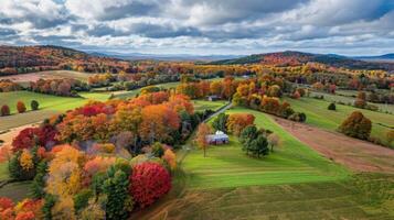 A charming countryside route surrounded by colorful trees and fields the perfect spot for a peaceful stroll. . AI generation photo