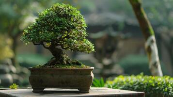The act of pruning and grooming a bonsai tree a symbol of patience and selfdiscipline in the pursuit of inner harmony photo