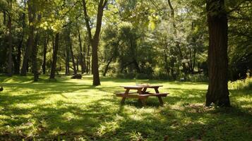 The sound of birds chirping and the rustle of leaves in the trees creating a serene backdrop for this perfect picnic in the park photo