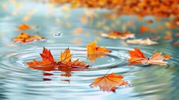 A of autumn leaves floating on the water symbolizing the changes and growth within oneself photo