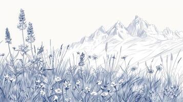 Delicate wildflowers and tall blades of grass sketched in intricate detail against a backdrop of tall mountains photo