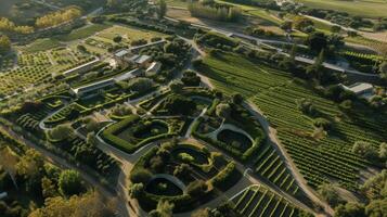 From up above an intricate maze of vines in varying shades of green can be seen interwoven with pathways and roads that lead to the main winery building at the heart of th photo