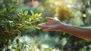 The subtle movements of the fingers in Qi Gong as they direct and guide the flow of energy throughout the body photo