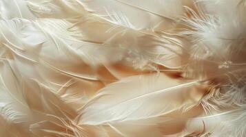 A closeup of a dreamcatchers feathers showcases their soft and delicate texture representing the lightness and freedom of our dreams photo