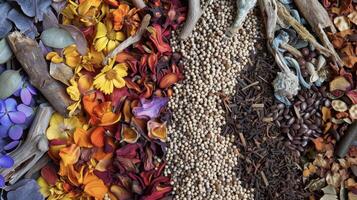 A mix of herbs roots and seeds bursting with colorful earthy tones symbolizing the diversity and abundance of natural medicine used by Native Americans photo