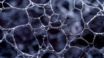 A highresolution image showcases the surface of a thermochromic nanomaterial its structure resembling a delicate web of interconnected fibers. The material has potential use photo