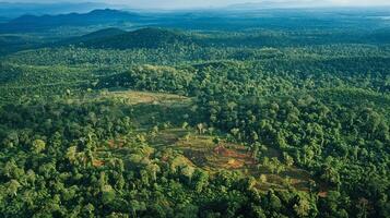 An aerial view of a reforested area where trees now cover land that was once cleared for mining photo