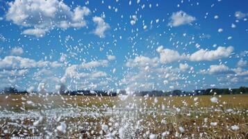 A flurry of white projectiles dance through the air photo