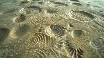 A series of intricate patterns etched into the sandy ocean floor resembling crop circles photo