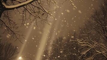 As snowflakes gently fall light pillars emerge creating a stunning contrast against the dark sky photo