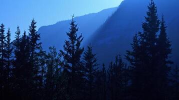 A surreal sight of a mountains shadow looming over a grove of trees creating a stark contrast photo