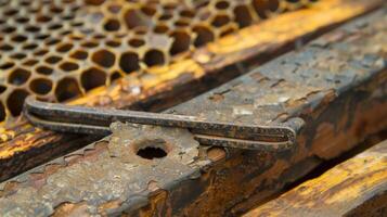 A metal beekeeping tool with a sharp hook perfect for lifting and separating hive frames photo