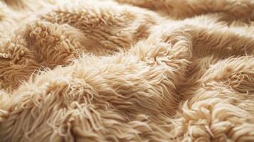 The fuzzy downy texture of alpaca wool like a plush bears fur in a muted earthy hue photo