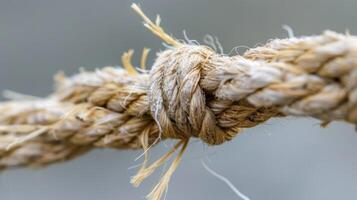 Closeup view of a frayed end of a braided rope showcasing the frizzy and tangled fibers photo
