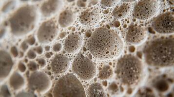 Macro photograph displaying the unique texture and porous nature of pumice stone with visible specks and grains in neutral hues photo