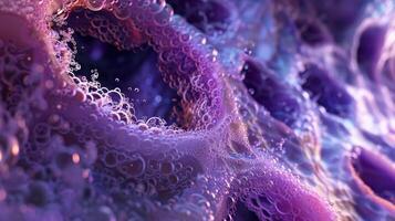 A denselypacked layer of endothelial cells forming a protective barrier between circulating and the surrounding tissue photo