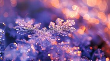 A closeup image of melting snowflakes the water droplets catching the light and creating a glow reminiscent of fireflies photo