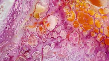 A section of placenta tissue revealing the immense surface area covered by tiny cells that are responsible for the complex exchange of substances between mother and baby photo
