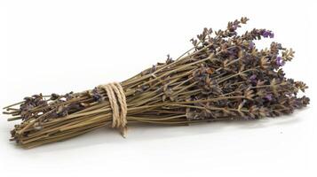 A bundle of dried lavender tied with string used as a natural air freshener and antibacterial cleaner photo