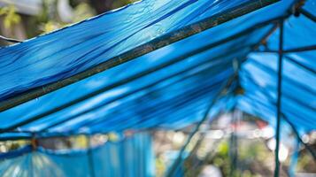 A blue plastic tarp is carefully dd over a large metal frame creating a makeshift roof for a makeshift rainwater harvesting system in an open space photo