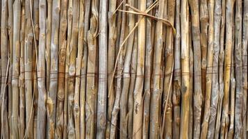 Natural earthy texture of interwoven reeds and twigs with small gaps adding depth and dimension photo
