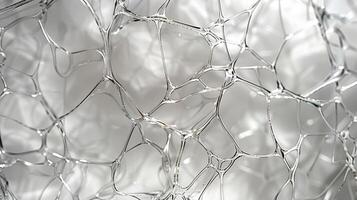 Looking closely the intricate web of lines on the transparent polycarbonate reveals a sy yet lightweight material photo